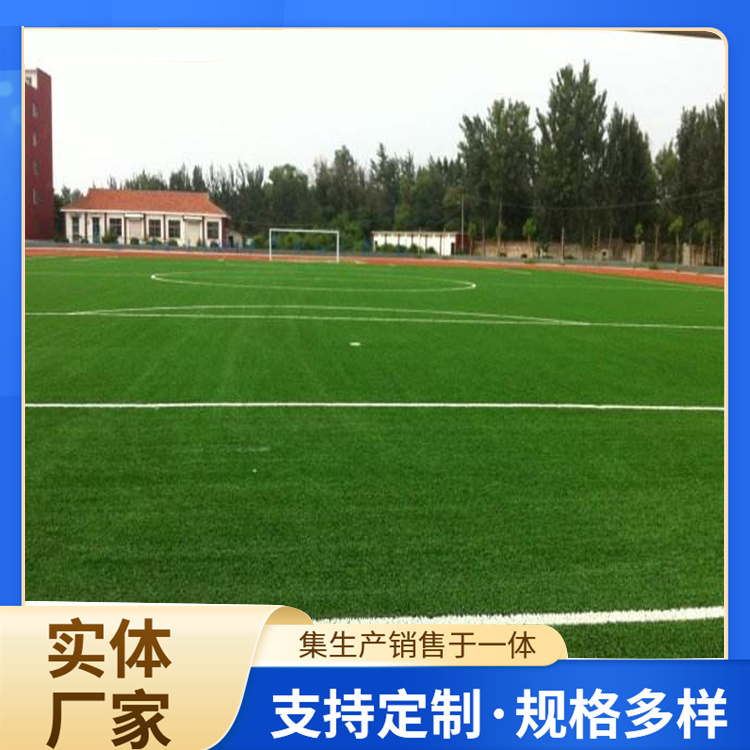 遵义市EPDM颗粒人造草坪 - 方案